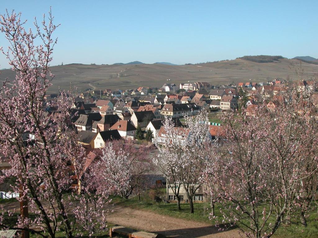 Gite Des Merles Mittelwihr Buitenkant foto